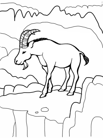 Ibex Wild Goat Coloring Page